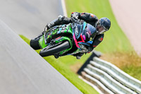 PJ-Motorsport-Photography-2020;anglesey;brands-hatch;cadwell-park;croft;donington-park;enduro-digital-images;event-digital-images;eventdigitalimages;mallory;no-limits;oulton-park;peter-wileman-photography;racing-digital-images;silverstone;snetterton;trackday-digital-images;trackday-photos;vmcc-banbury-run;welsh-2-day-enduro
